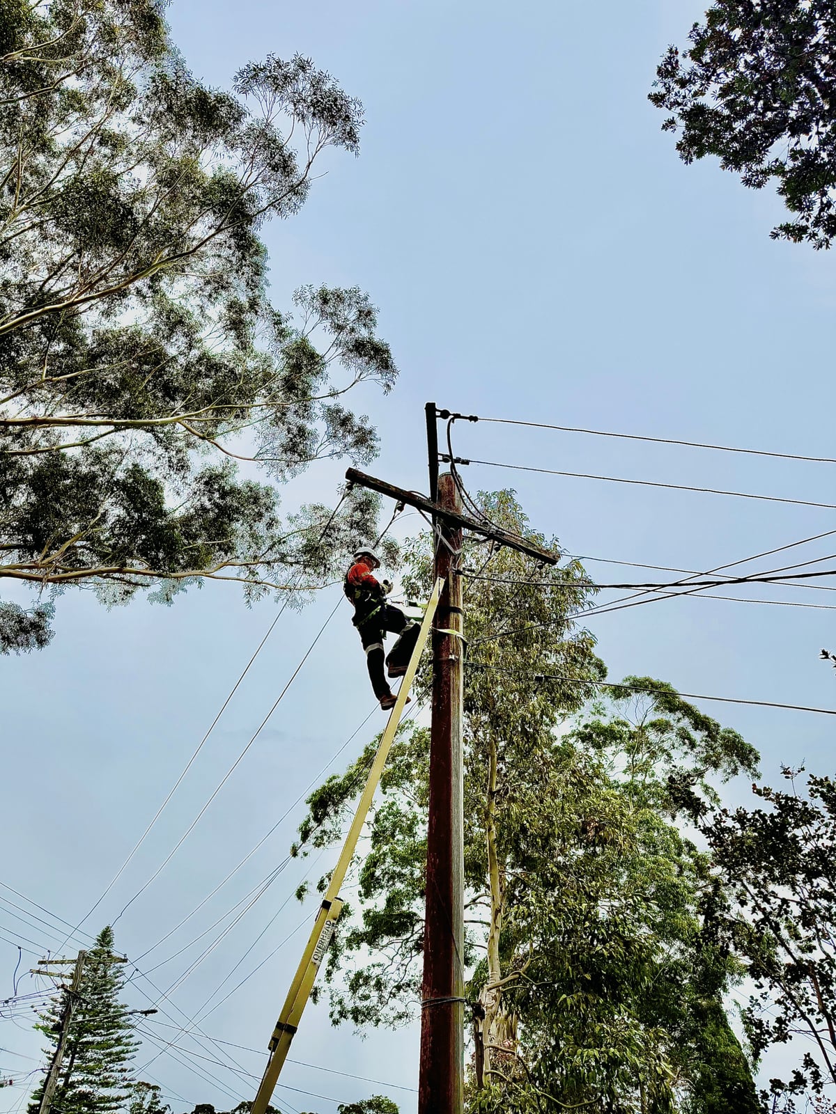 Level 2 ASP electrician working on an overhead service line from a ladder